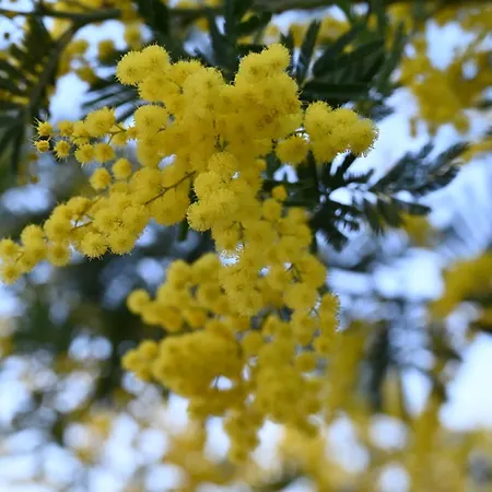 Апартаменты Entre Et Collines T2 *