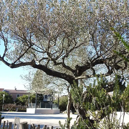 Apartment Entre Et Collines T2 *